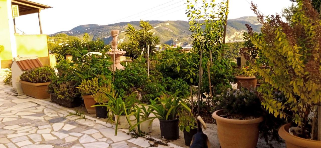 Vassilis Apartments Paleokastritsa Bagian luar foto
