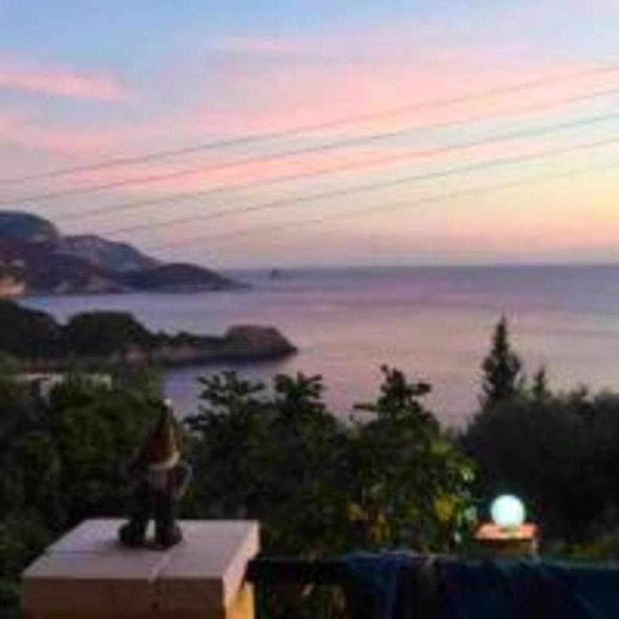 Vassilis Apartments Paleokastritsa Bagian luar foto