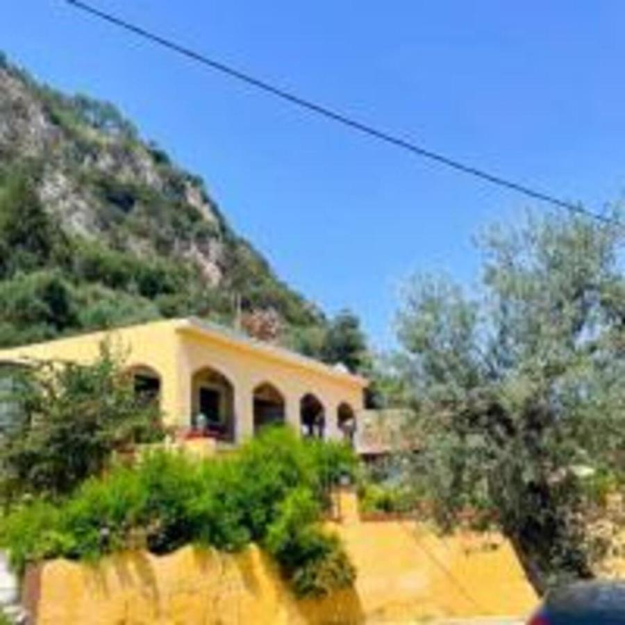 Vassilis Apartments Paleokastritsa Bagian luar foto